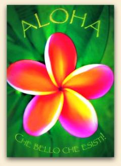 Aloha Carte Sciamaniche